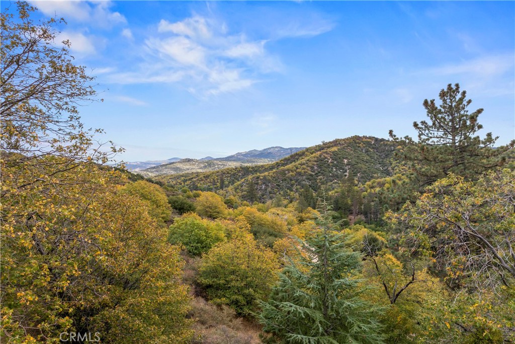 705 Cypress Road Cedar Glen, CA 92321 - Photo 35 of 51 a view of mountain