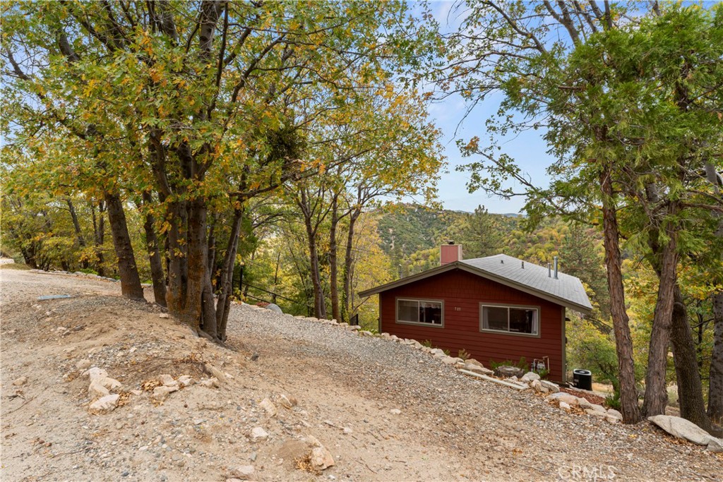 705 Cypress Road Cedar Glen, CA 92321 - Photo 46 of 51 a big room with large trees