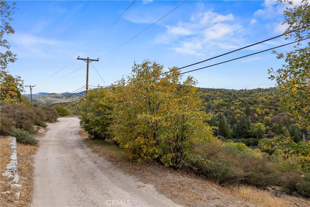 705 Cypress Road Cedar Glen, CA 92321 - Photo 51 of 51 a view of a yard