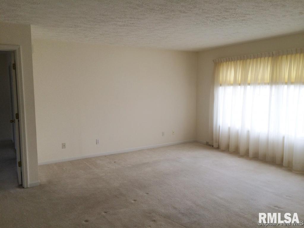 19436 Pinecrest Road Petersburg, IL 62675 - Photo 3 of 22 Gallery Image 3
