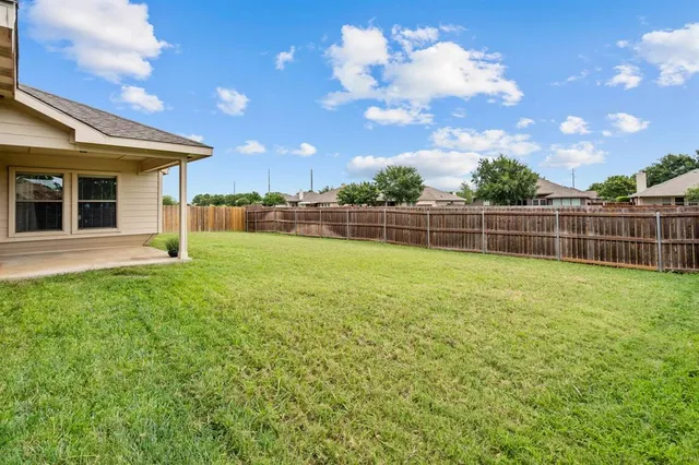 a view of a backyard with a garden and plants