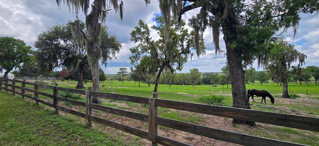 5757 Trask Road Fort Meade, FL 33841 - Photo 59 of 63