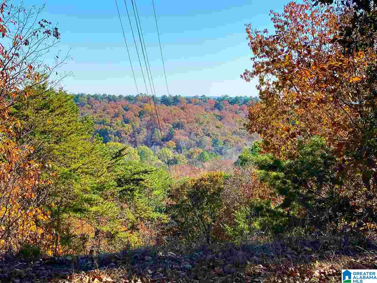 7541 Springer Road McCalla, AL 35111 - Photo 41 of 43