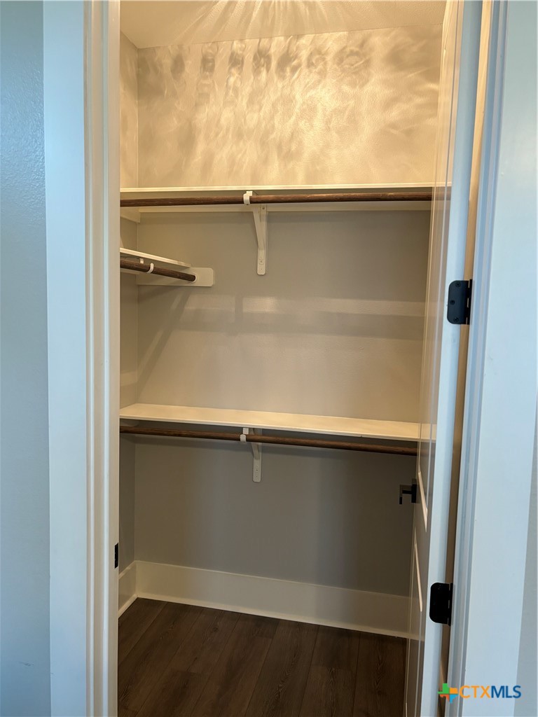 110 Hiram Cook Blanco, TX 78606 - Photo 12 of 46 a close view of closet