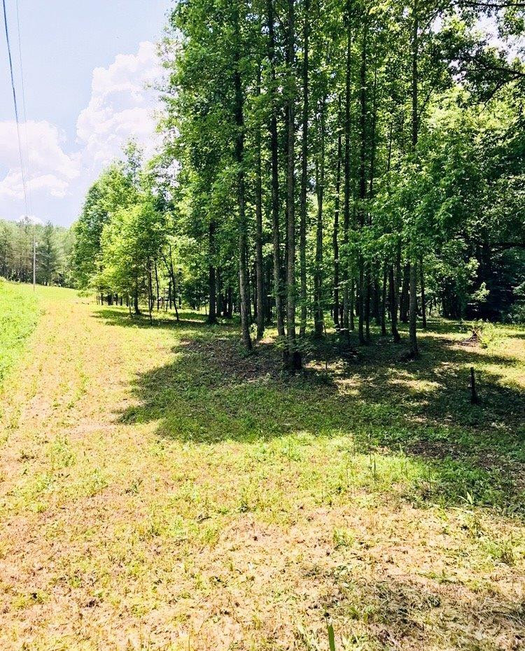 1111 Walker Ml Road Williamsburg, KY 40769 - Photo 21 of 40 Photo 22