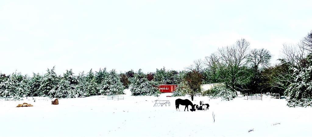 5016 Farm To Market 121 Van Alstyne, TX 75495 - Photo 2 of 5 a view of outdoor space with trees
