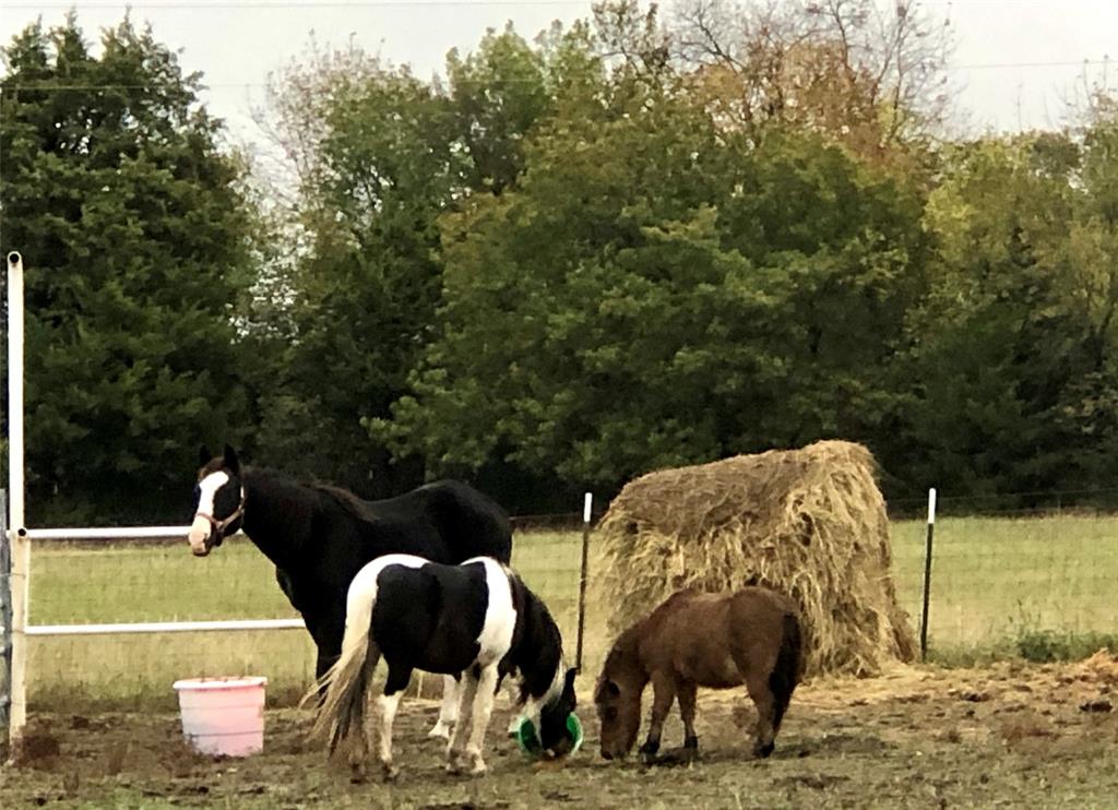 5016 Farm To Market 121 Van Alstyne, TX 75495 - Photo 4 of 5 a view of a yard and dinning table