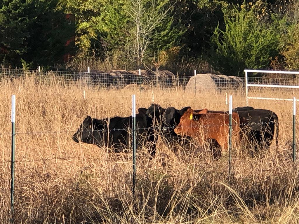 5016 Farm To Market 121 Van Alstyne, TX 75495 - Photo 5 of 5 a view of a large body of water with water fall
