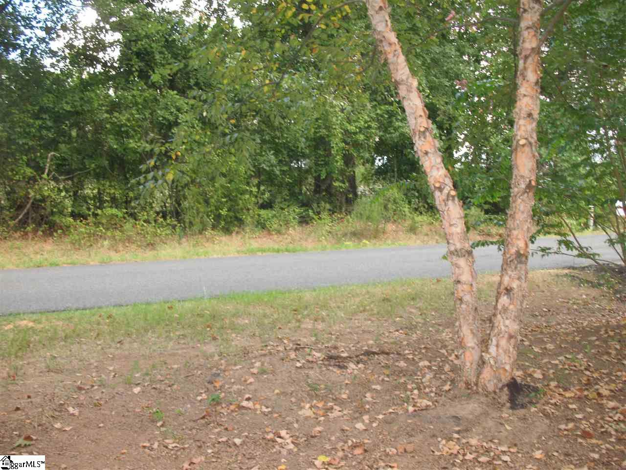 3115 Durbin Church Road Fountain Inn, SC 29644 - Photo 2 of 15