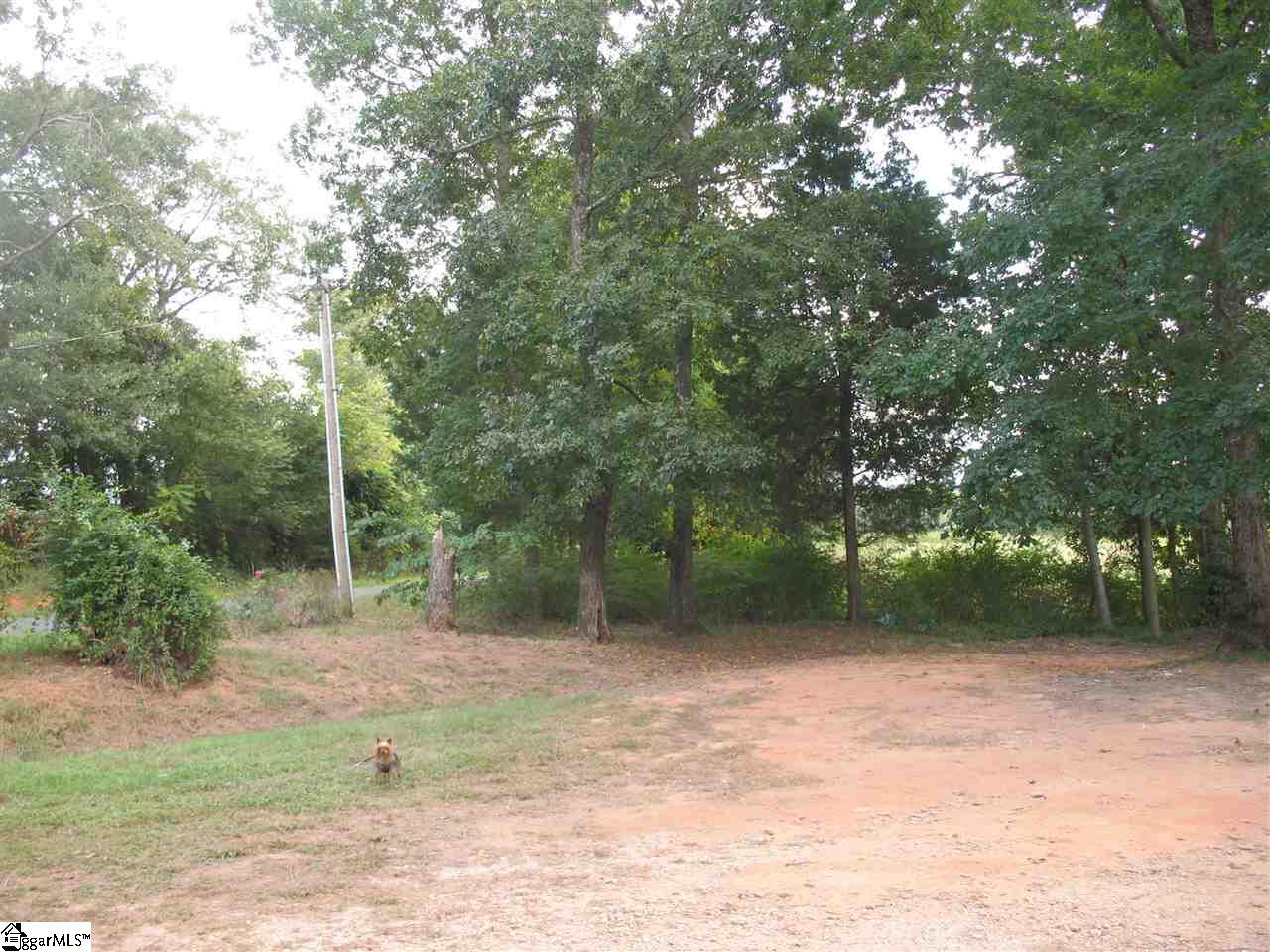 3115 Durbin Church Road Fountain Inn, SC 29644 - Photo 3 of 15