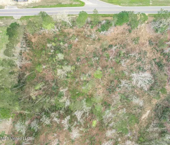 $80,000 | Lot 1 Bridgewater Subdivision, Sumrall, MS 39482
