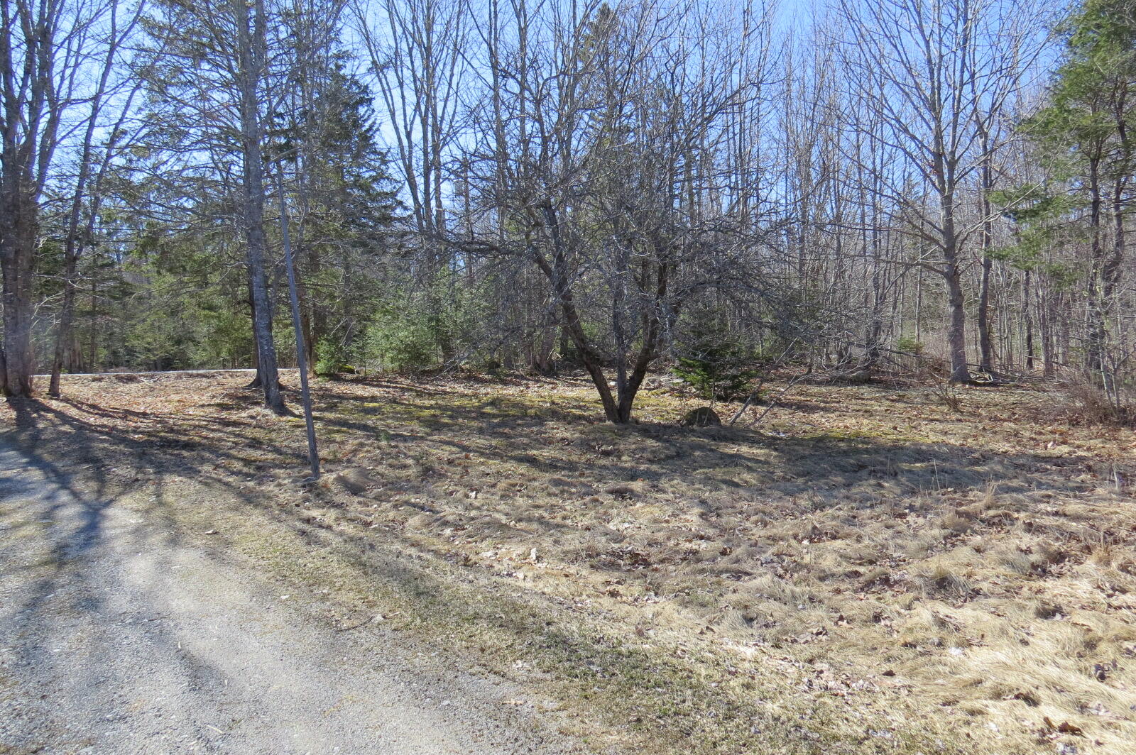 137 Seal Point Road Lamoine, ME 04605 - Photo 32 of 47 IMG_8787