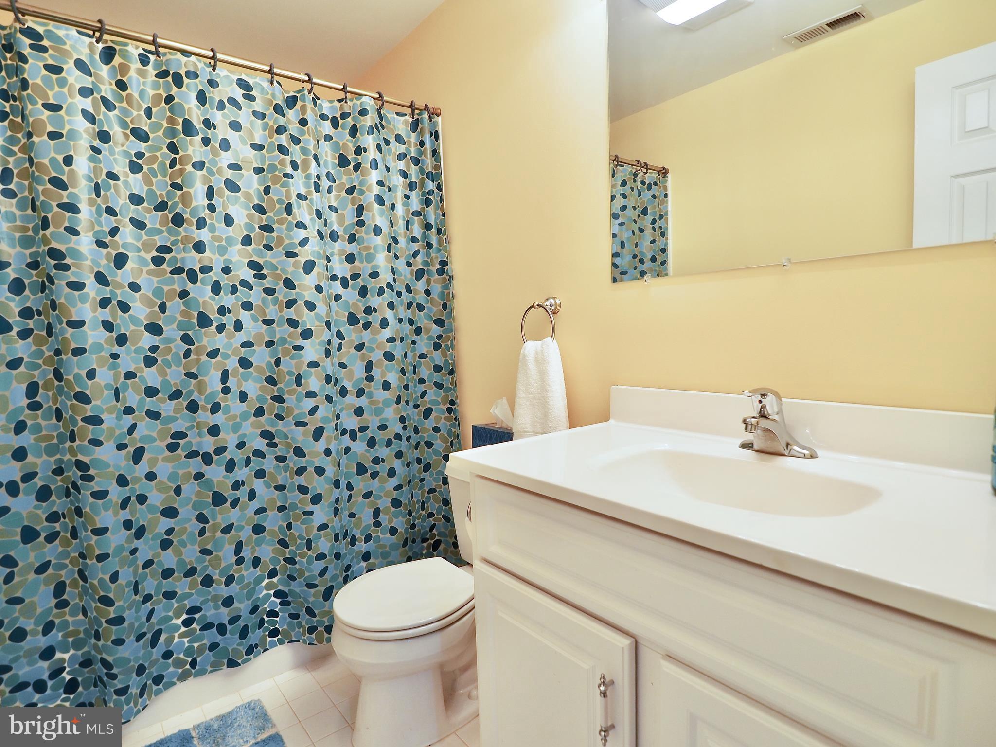 1312 Red Hawk Circle Reston, VA 20194 - Photo 42 of 48 Full-bath on lower level