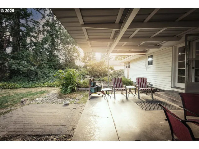 a view of a park with a tree