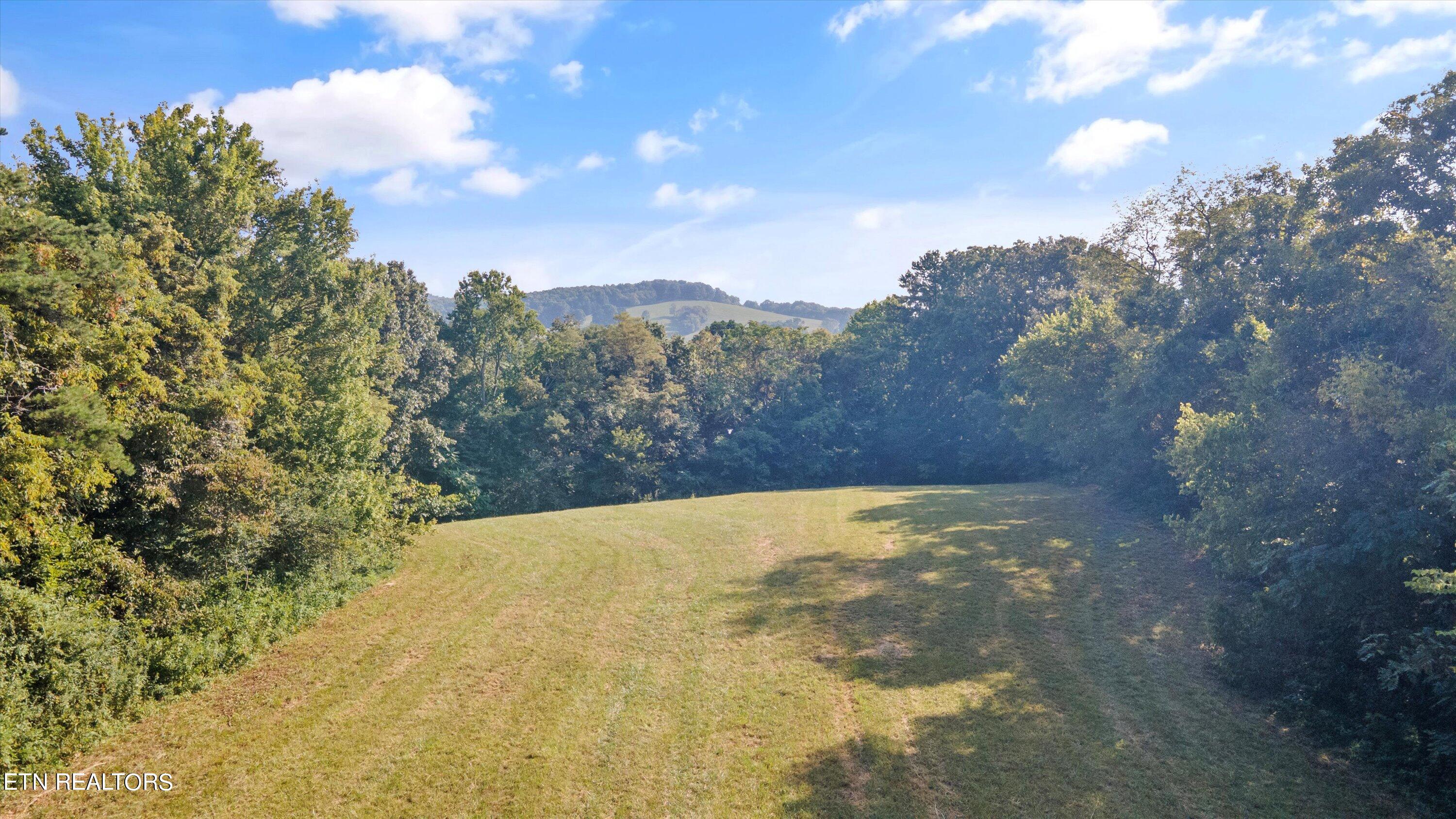Lot 2 Narrow Valley Road Rutledge, TN 37861 - Photo 11 of 24 18-HughCameronrd-17