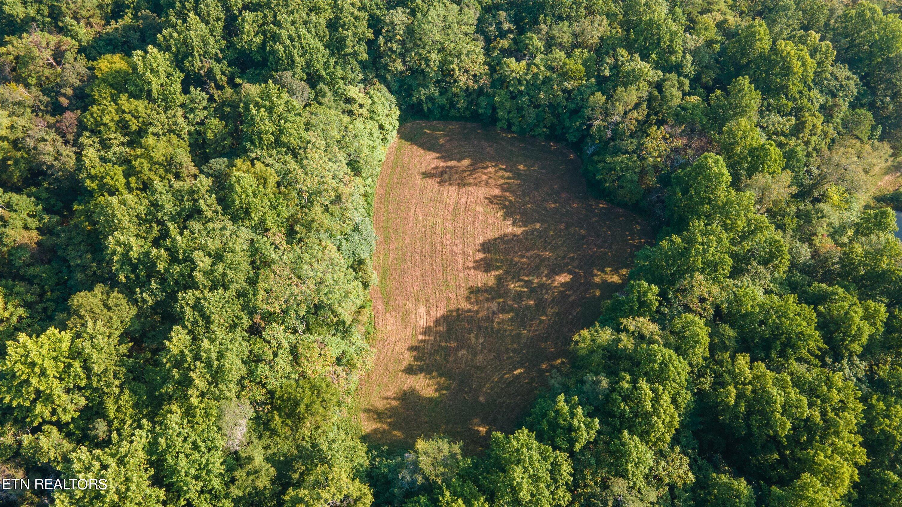 Lot 2 Narrow Valley Road Rutledge, TN 37861 - Photo 13 of 24 07-3349NarrowValleyRdlot01