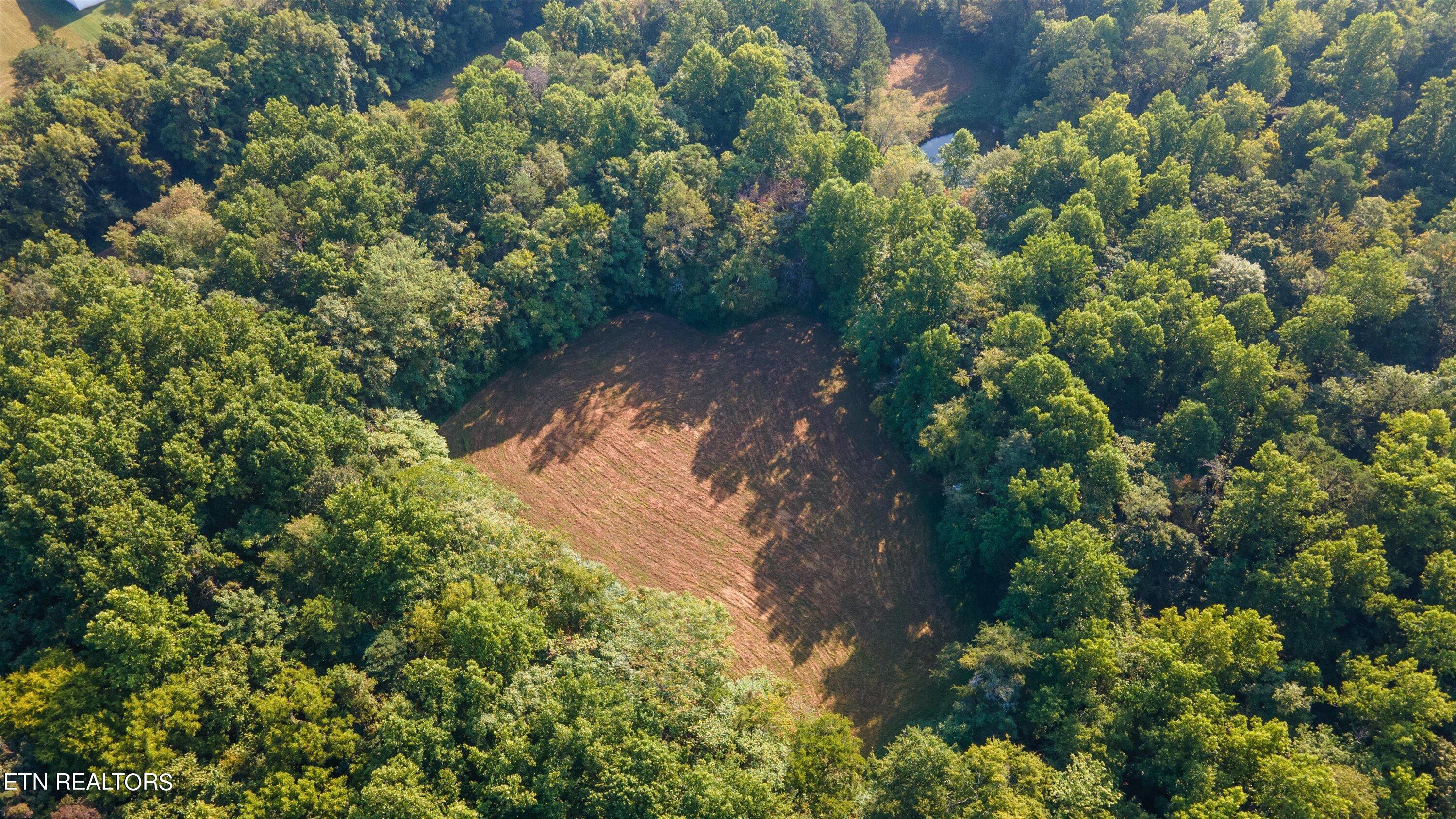 Lot 2 Narrow Valley Road Rutledge, TN 37861 - Photo 14 of 24 08-3349NarrowValleyRdlot02