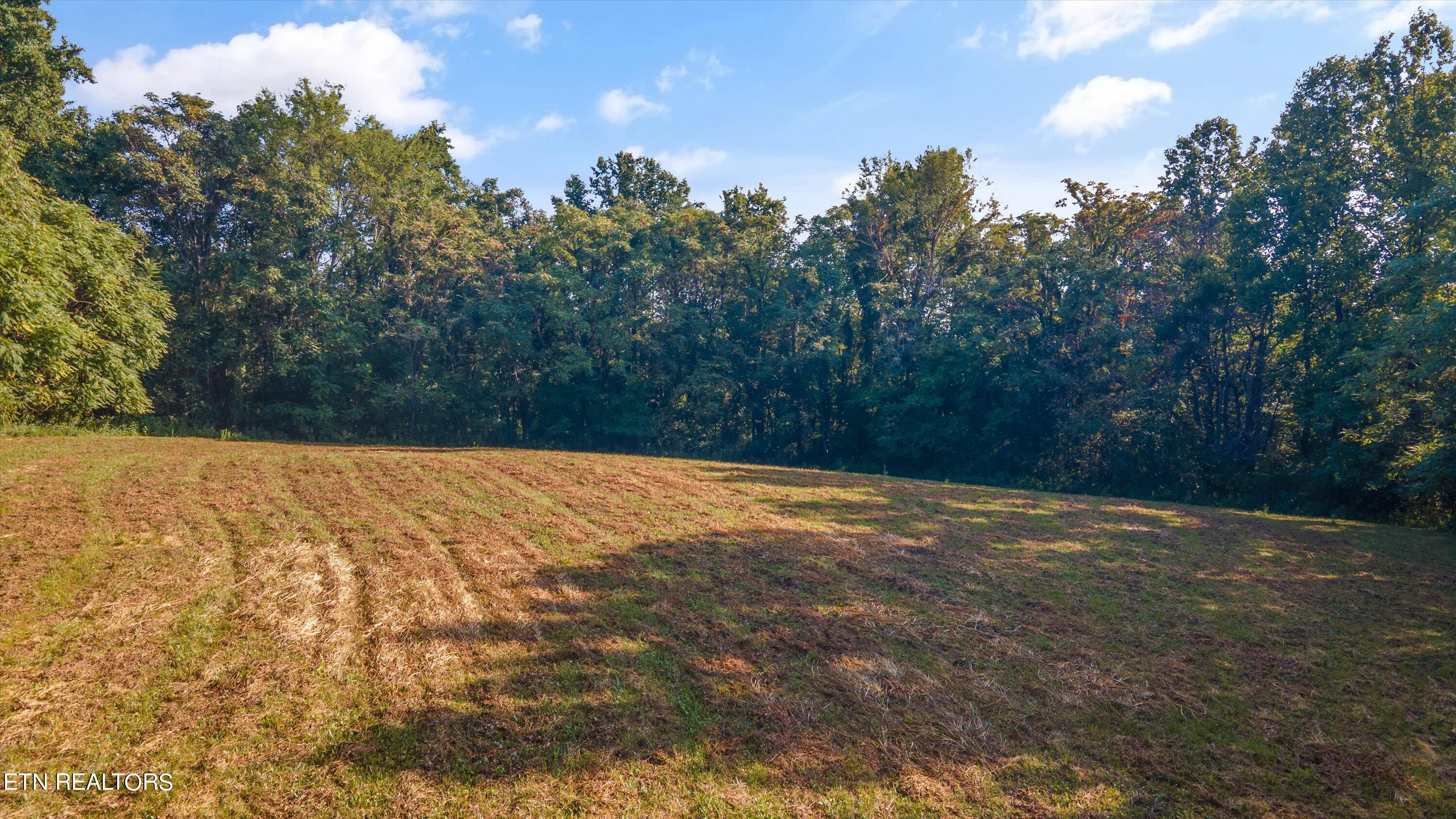 Lot 2 Narrow Valley Road Rutledge, TN 37861 - Photo 15 of 24 14-HughCameronrd-06