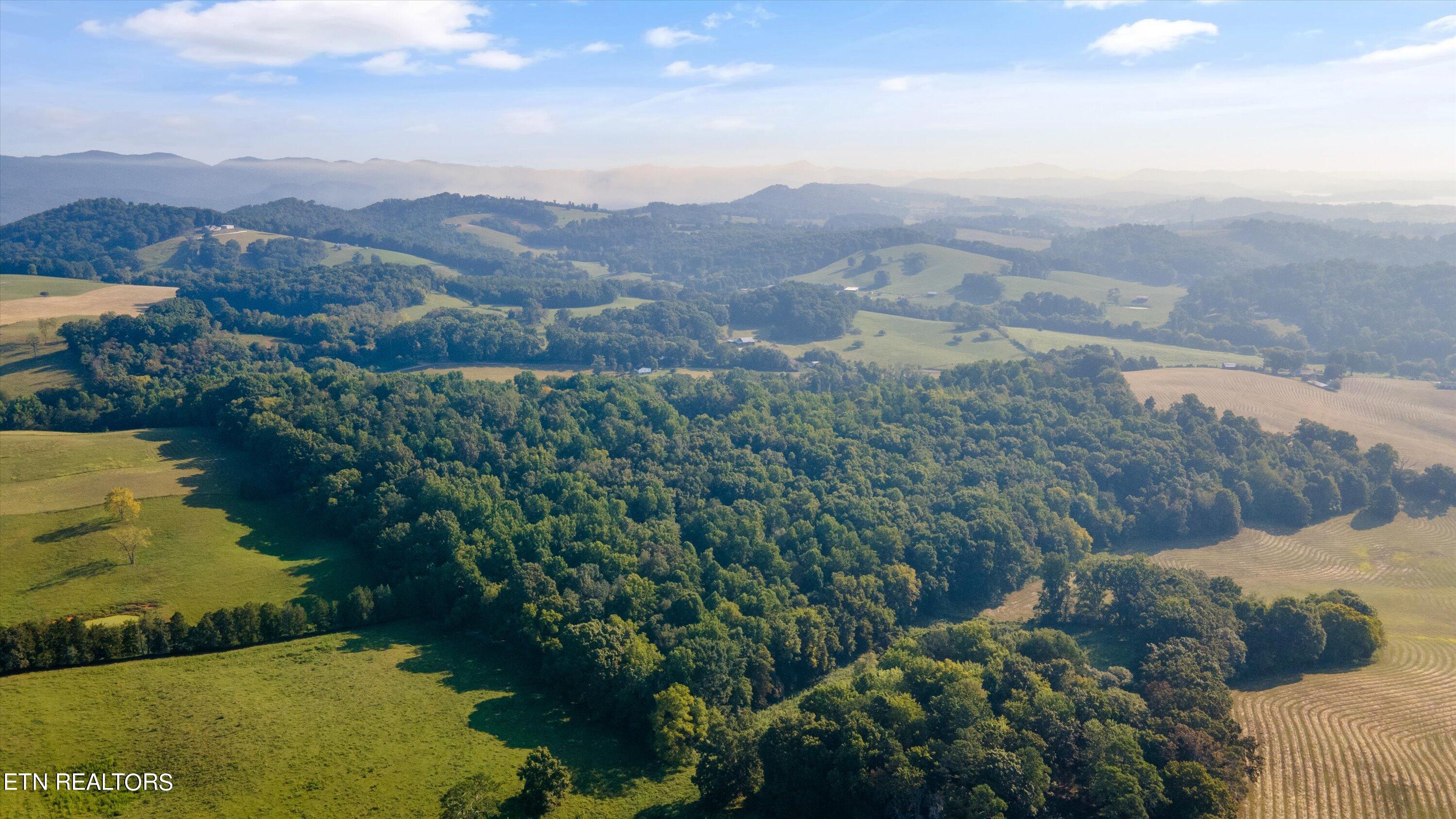 Lot 2 Narrow Valley Road Rutledge, TN 37861 - Photo 6 of 24 13-HughCameronrd-04