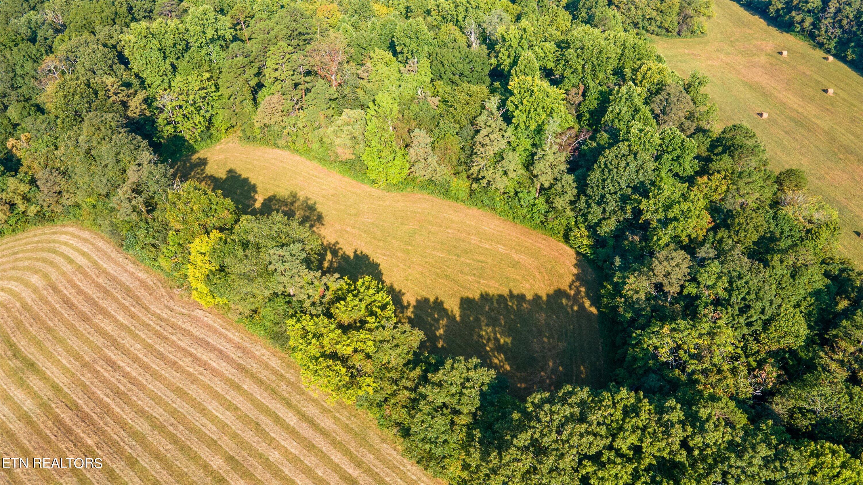 Lot 2 Narrow Valley Road Rutledge, TN 37861 - Photo 8 of 24 10-HughCameronrd-01