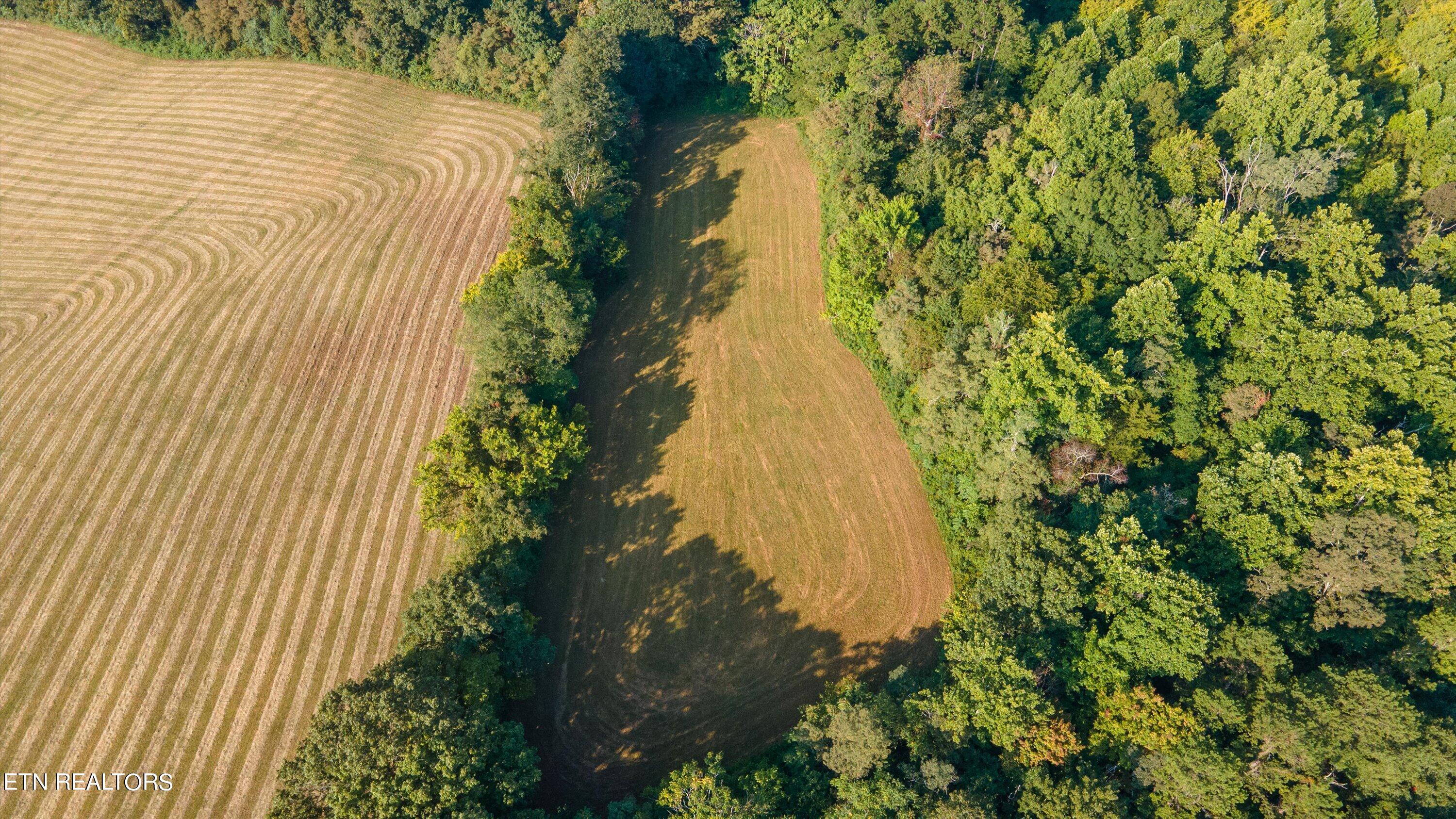 Lot 2 Narrow Valley Road Rutledge, TN 37861 - Photo 9 of 24 11-HughCameronrd-02