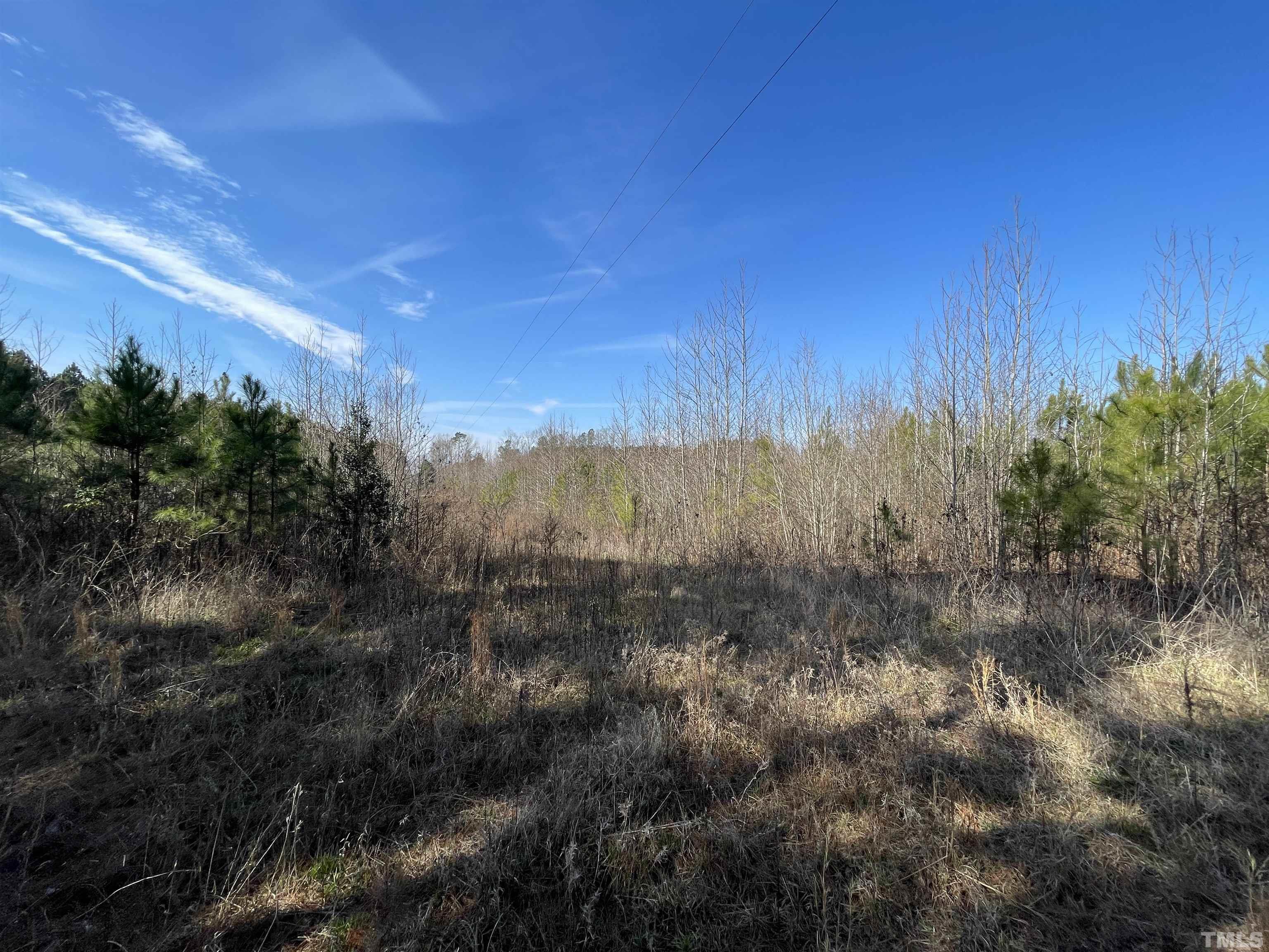2 C Lettuce Hall Rd Spring Spring Hope, NC 27882 - Photo 3 of 7 a view of mountains and valleys