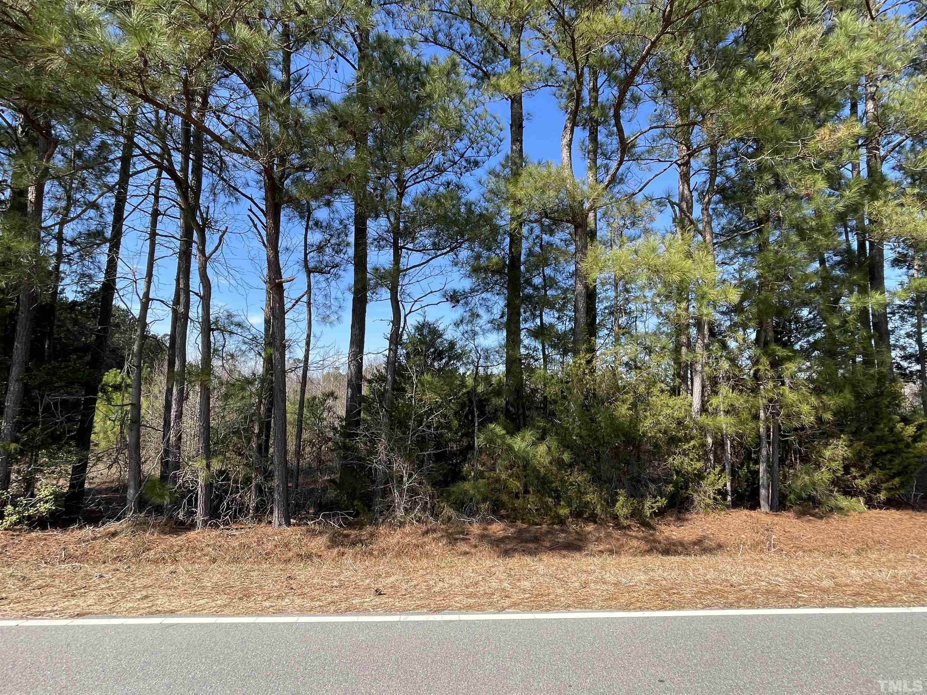 2 C Lettuce Hall Rd Spring Spring Hope, NC 27882 - Photo 4 of 7 a street view with large trees