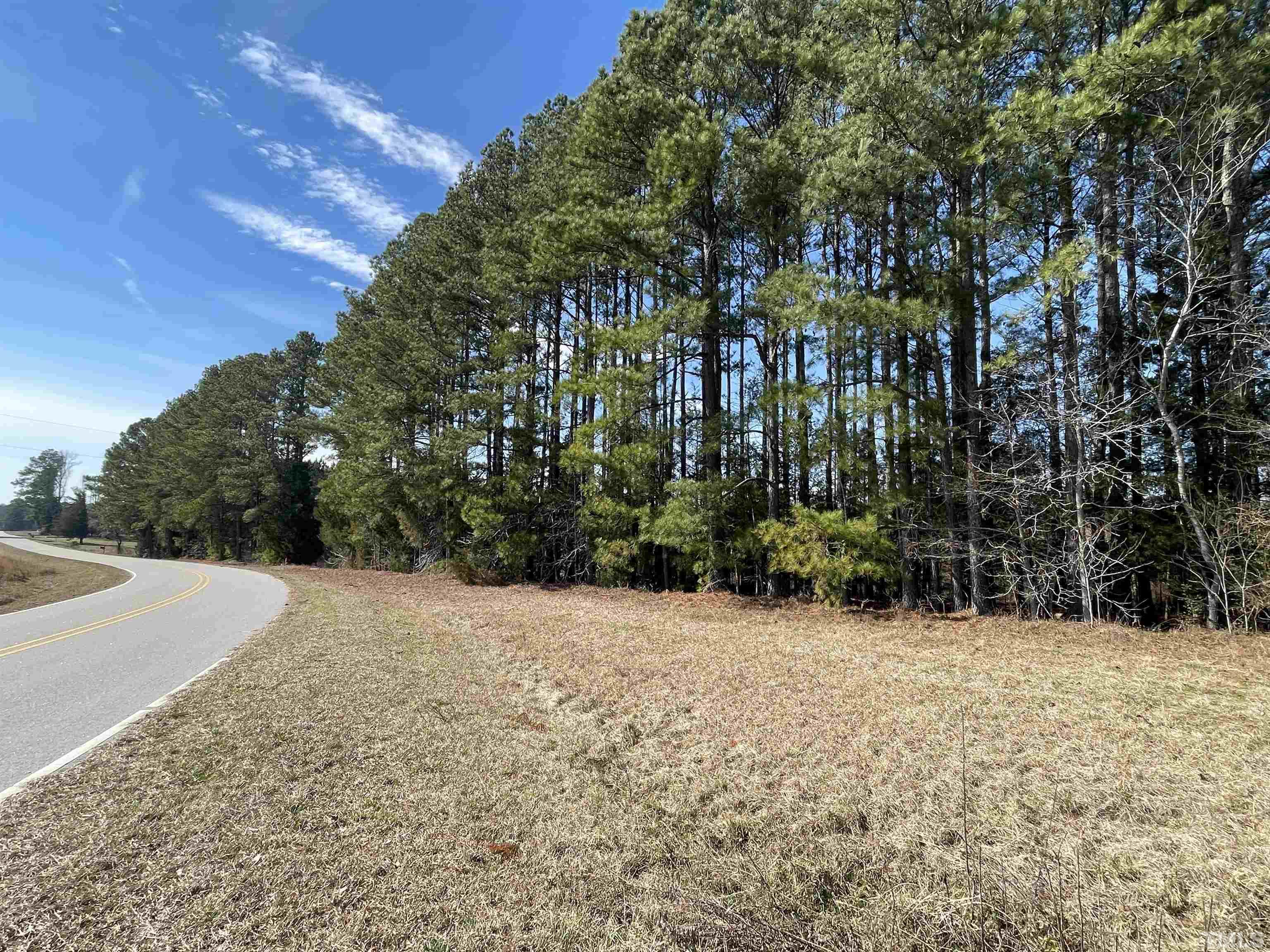 2 C Lettuce Hall Rd Spring Spring Hope, NC 27882 - Photo 5 of 7 a view of backyard with green space
