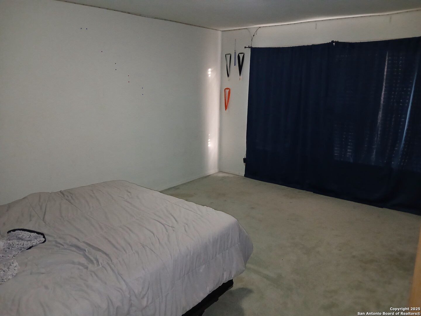 2916 Highway 44 Alice, TX 78332 - Photo 10 of 11 a bed room with a bed and a shower