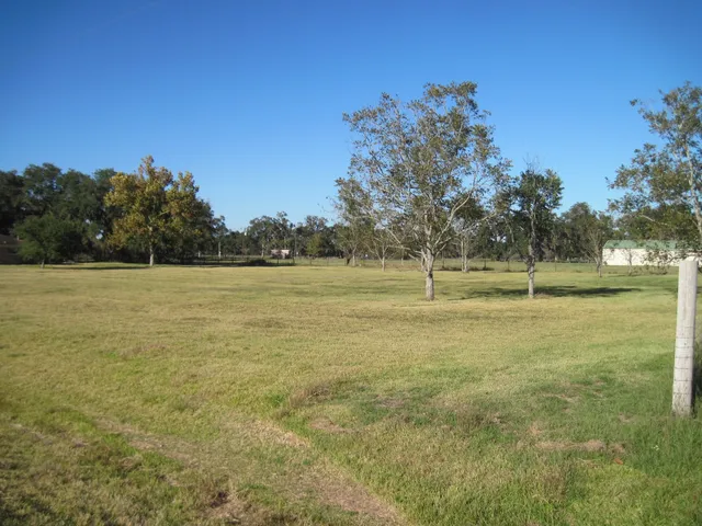 a view of outdoor space with yard and trees in the background