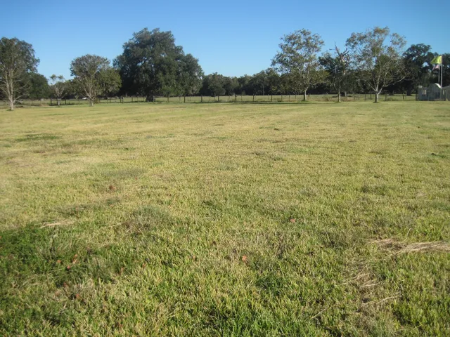 a view of outdoor space and yard