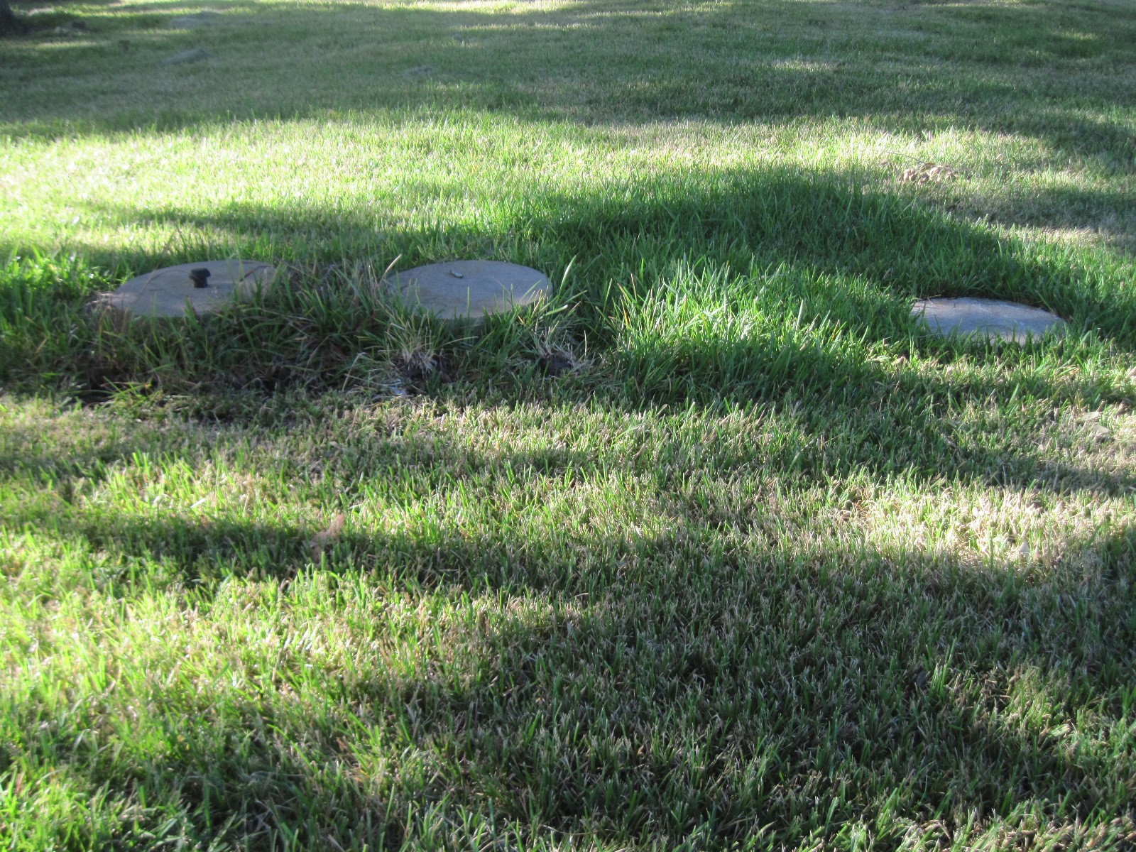 4129 Farm To Market 524 Road Sweeny, TX 77480 - Photo 8 of 28 a view of a garden with a lake