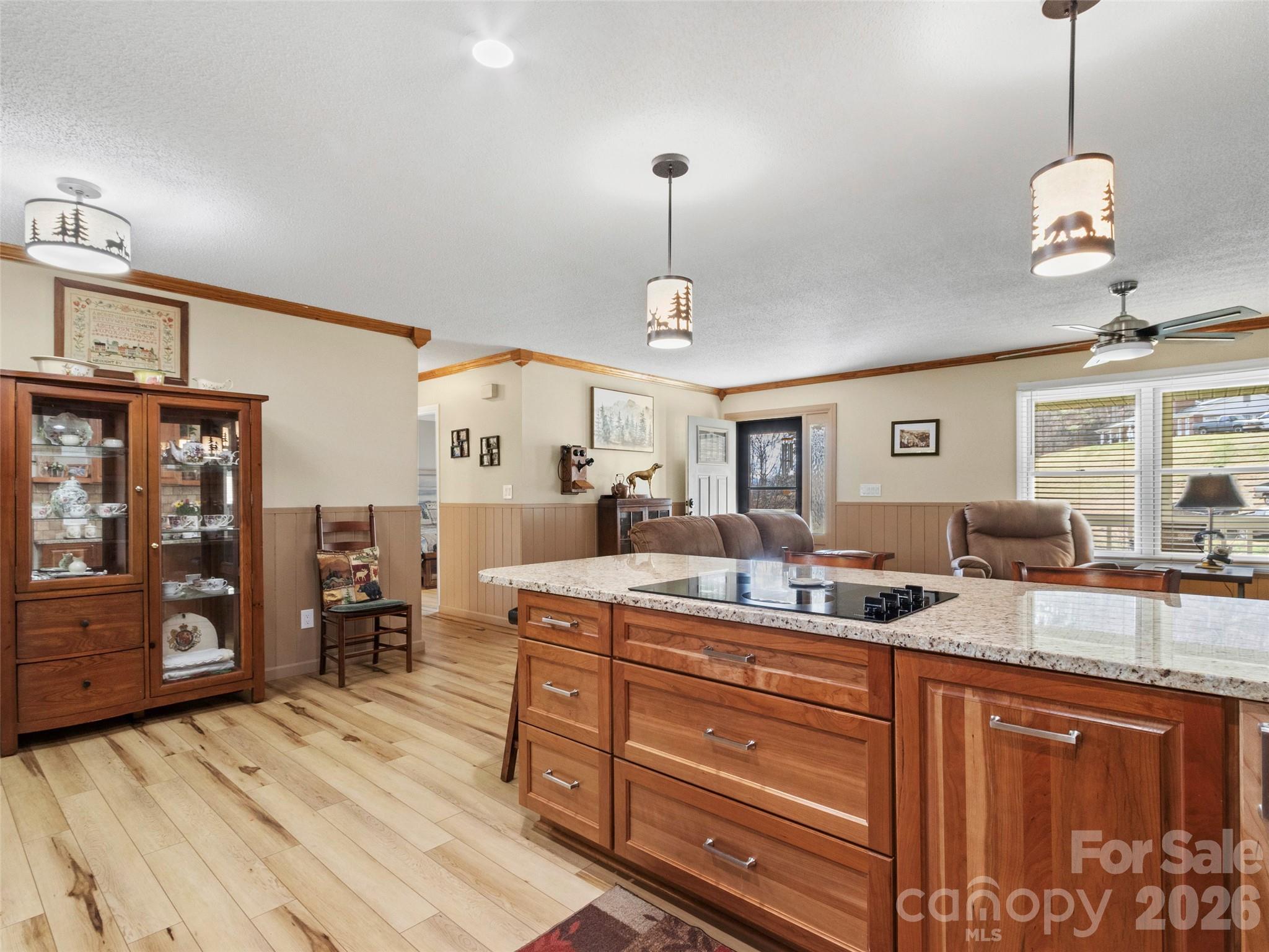 342 Mountain View Road Burnsville, NC 28714 - Photo 13 of 44