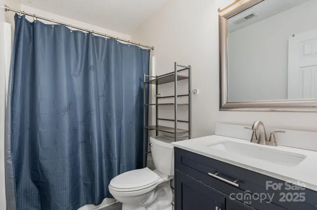 a bathroom with a sink a toilet a mirror and shower curtain