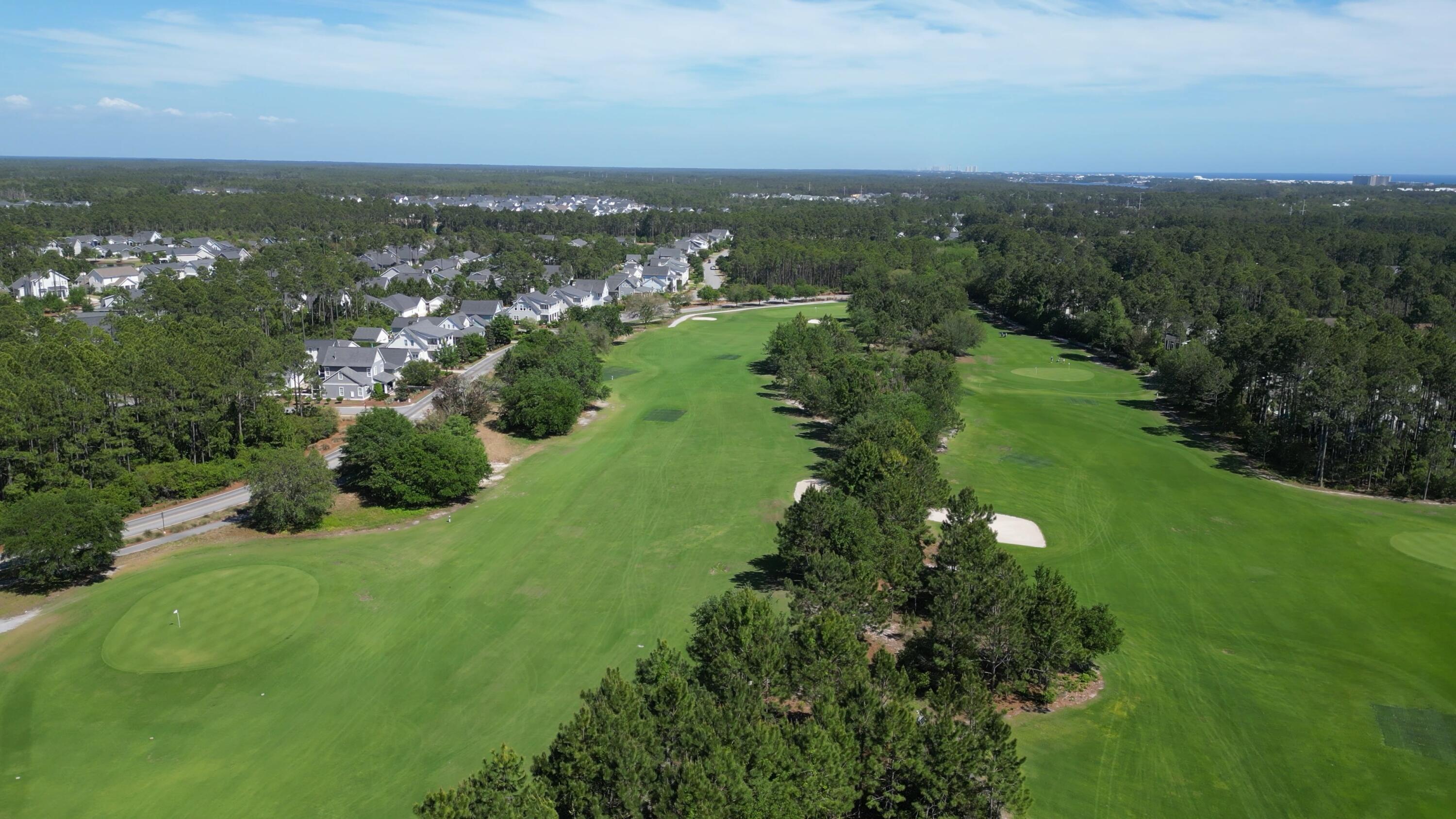86 Conifer Ct Inlet Beach Inlet Beach, FL 32461 - Photo 4 of 37 Golf Course 4