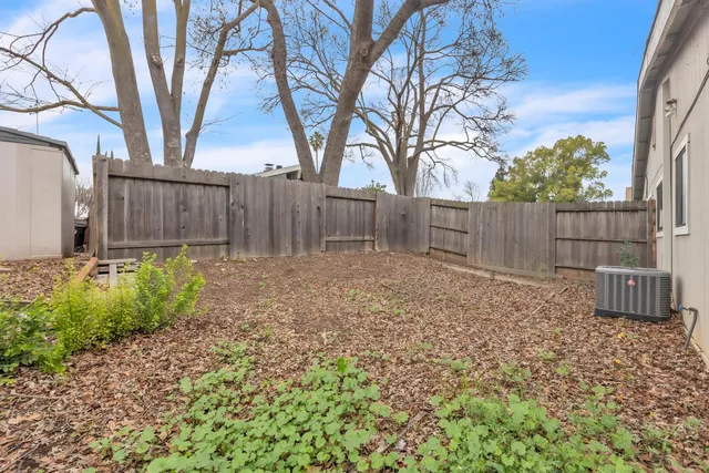 a view of a backyard with large trees and wooden fence