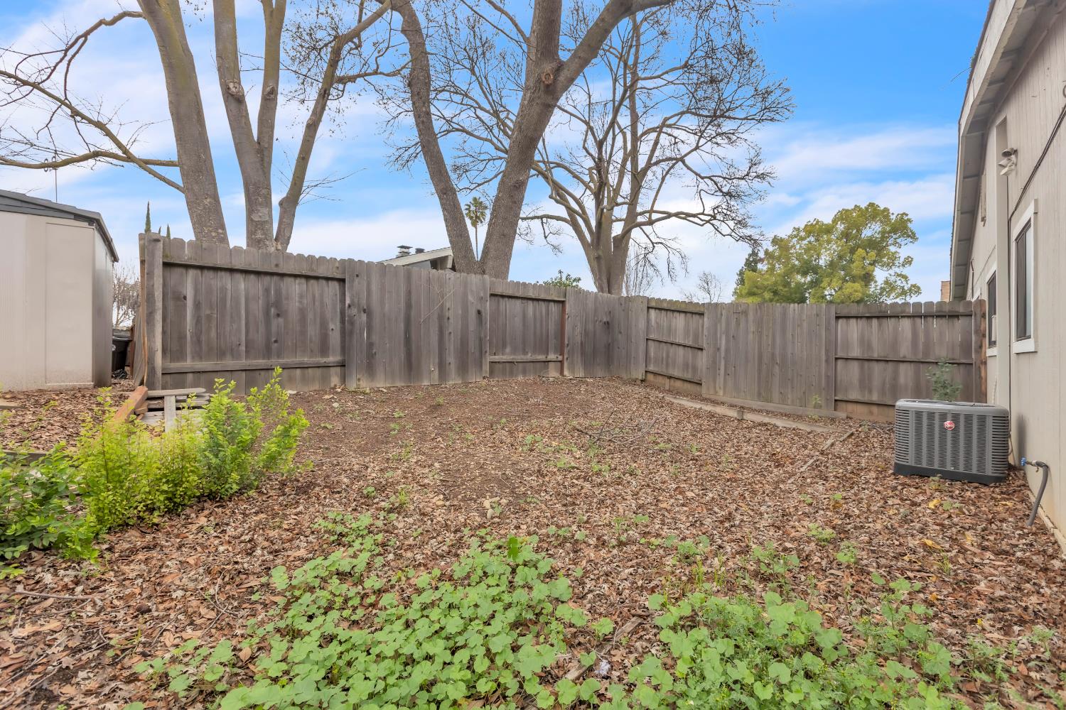 10973 Hirschfeld Way Rancho Cordova, CA 95670 - Photo 22 of 41 a view of a backyard with large trees and wooden fence
