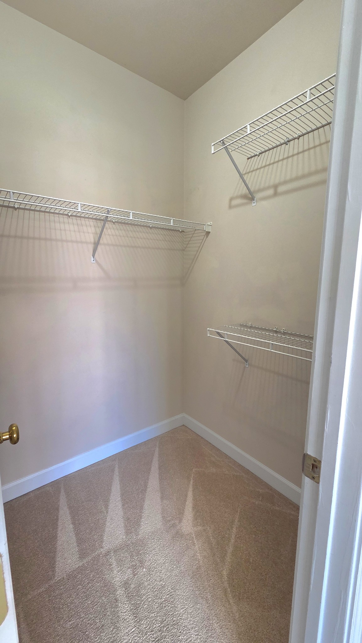 368 Logans Circle Franklin, TN 37067 - Photo 28 of 62