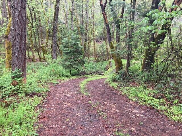 2230 Anderson Creek Road Talent, OR 97540 - Photo 24 of 27 2230 Anderson Creek - Pic 26