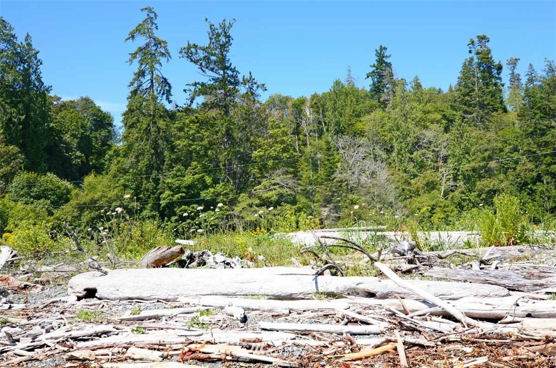 -xxx President Point Road Northeast Kingston, WA 98346 - Photo 13 of 19 Gallery Image 13