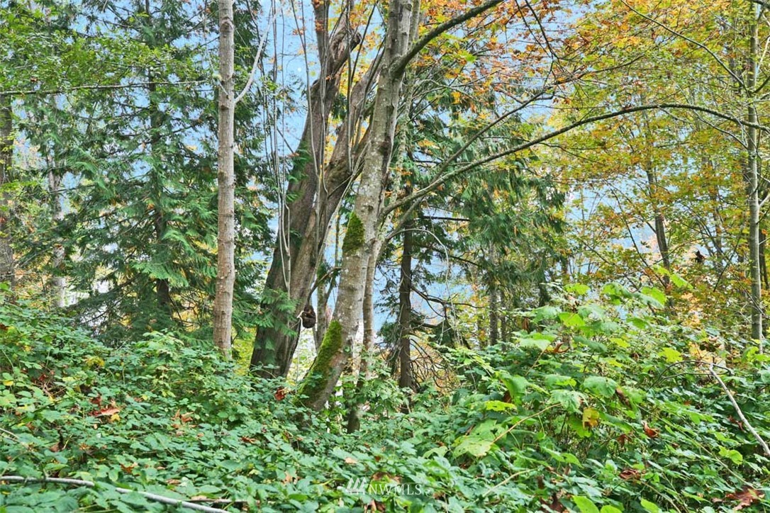-xxx President Point Road Northeast Kingston, WA 98346 - Photo 5 of 19 Gallery Image 5