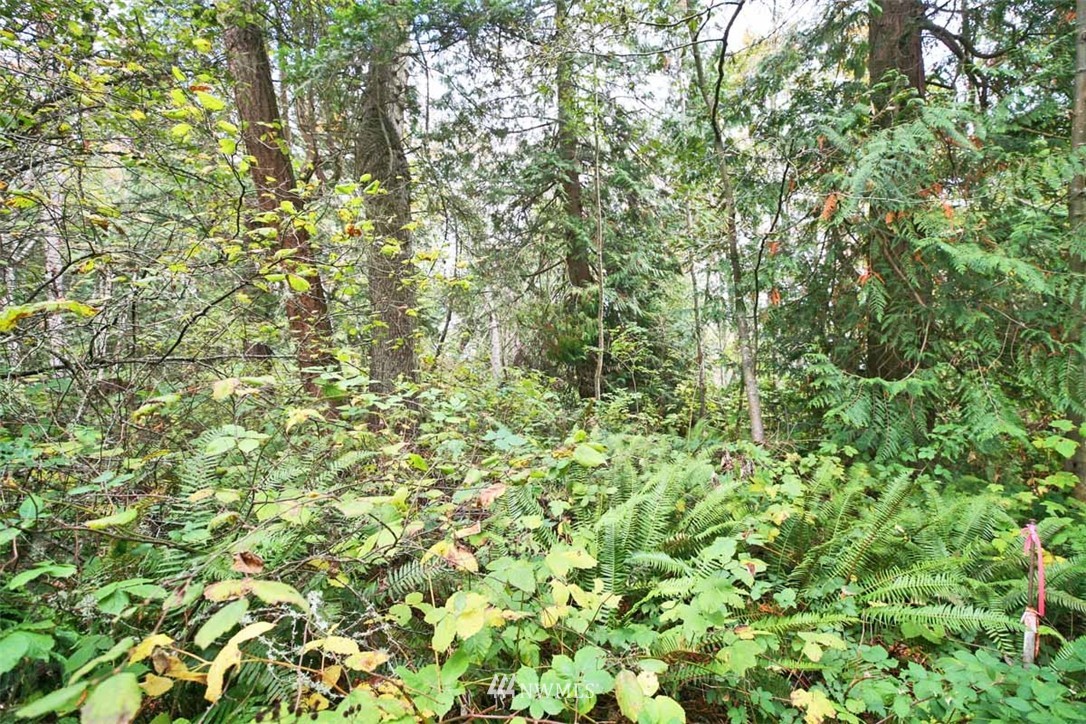 -xxx President Point Road Northeast Kingston, WA 98346 - Photo 6 of 19 Gallery Image 6