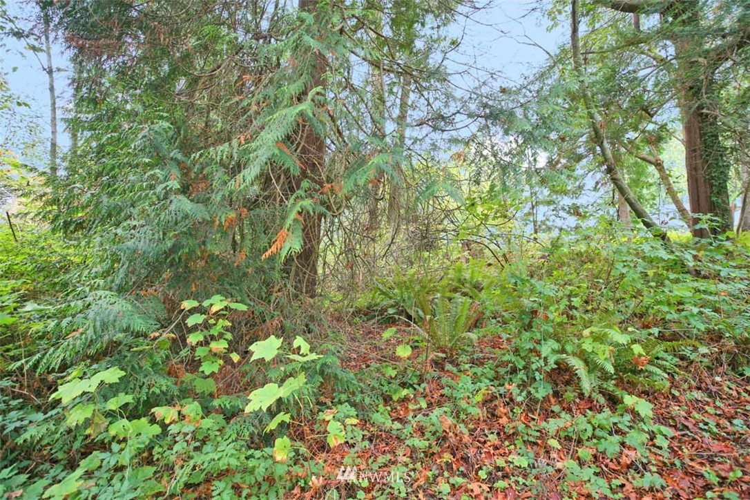 -xxx President Point Road Northeast Kingston, WA 98346 - Photo 8 of 19 Gallery Image 8
