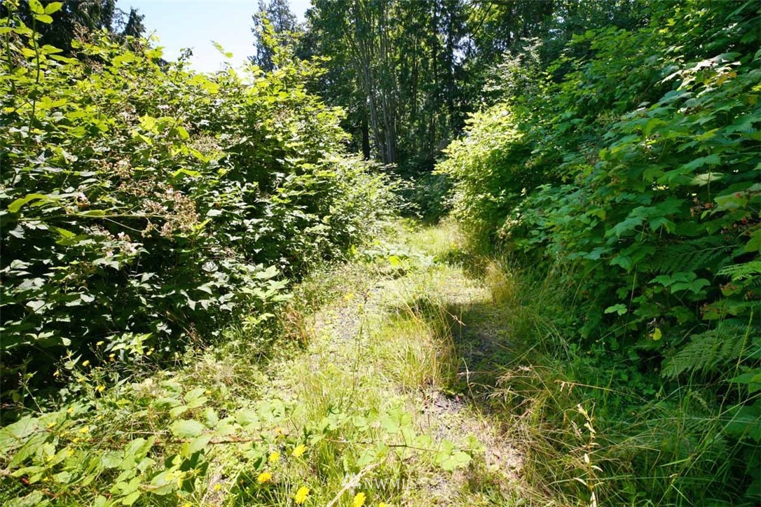 -xxx President Point Road Northeast Kingston, WA 98346 - Photo 10 of 19 Gallery Image 10
