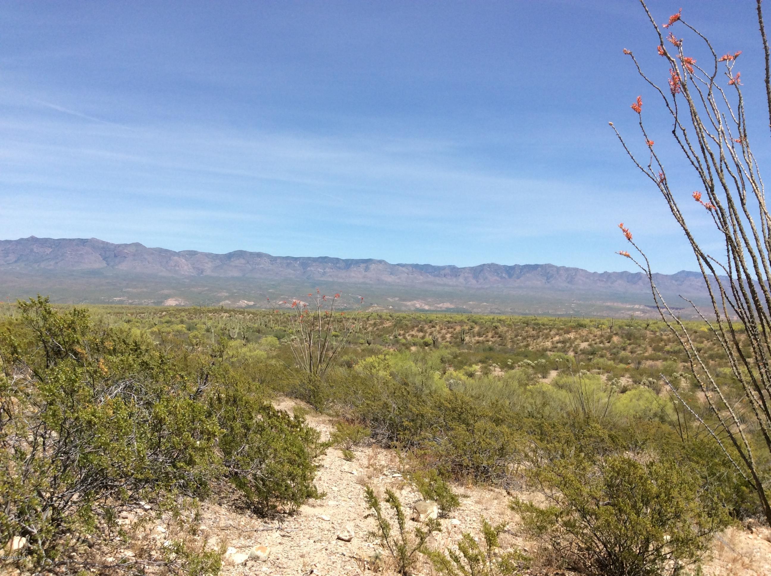 Peppersauce Mine Road San Manuel, AZ 85631 - Photo 12 of 33