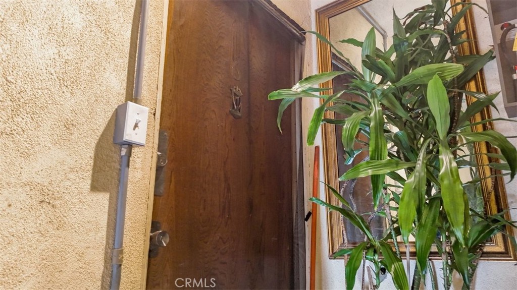 9706 Alondra Boulevard Bellflower, CA 90706 - Photo 20 of 24 a close view of a plant