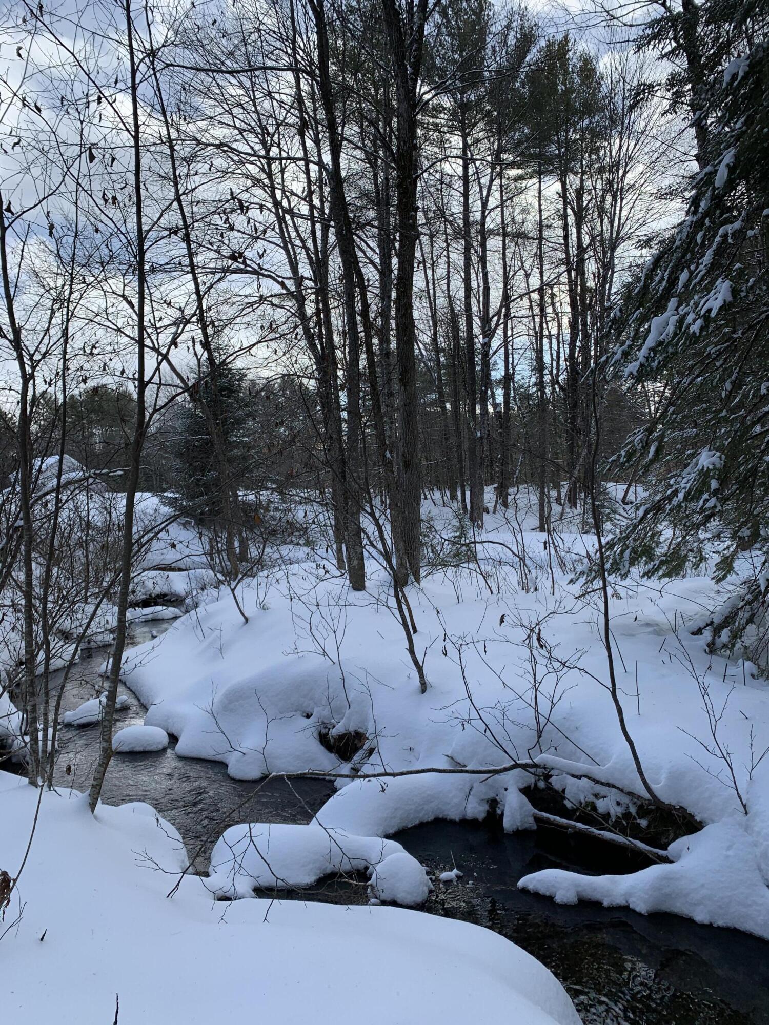 Lot 29 Sunnybrook Farm Road Bridgton, ME 04009 - Photo 12 of 12 IMG_1976