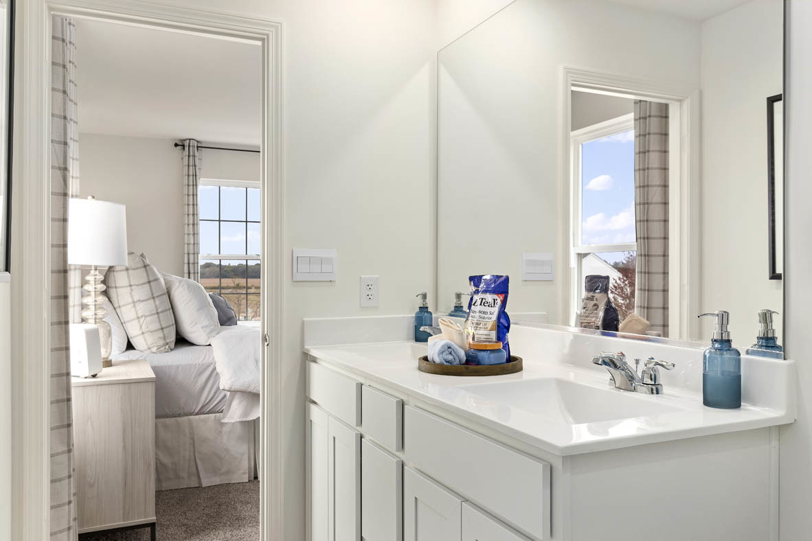 2241 Sassafras Way, Unit F Wonder Lake, IL 60097 - Photo 20 of 46 a bathroom with a sink and a mirror