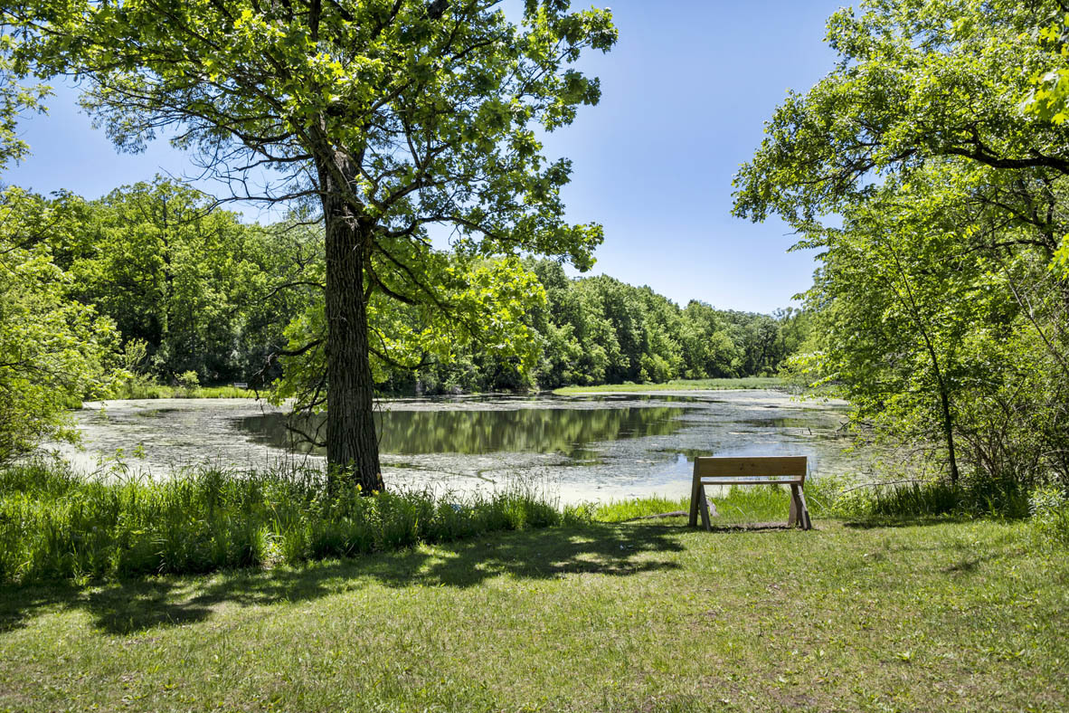 2241 Sassafras Way, Unit F Wonder Lake, IL 60097 - Photo 37 of 46 a view of a lake view
