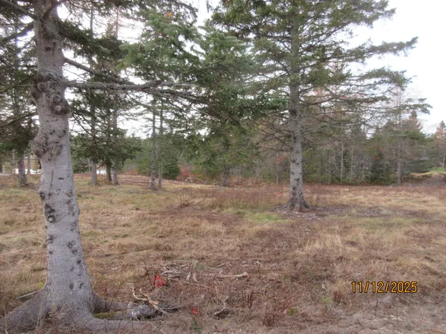 $79,000 | Lot 2 Smalls Point Road, Machiasport, ME 04655